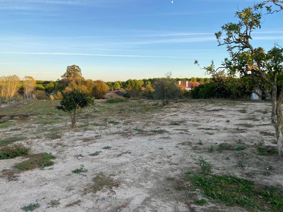 Cozy Farm House In The Countryside Villa Monte Das Figueiras de Lavre Bagian luar foto